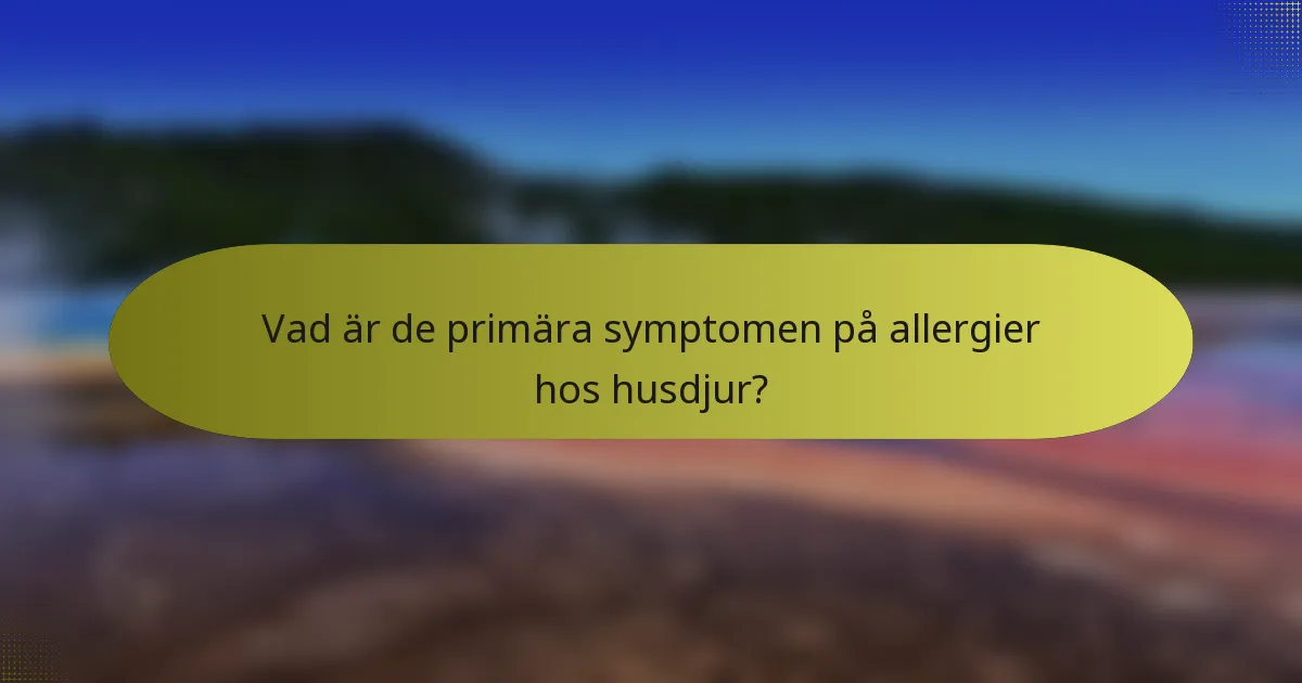 Vad är de primära symptomen på allergier hos husdjur?