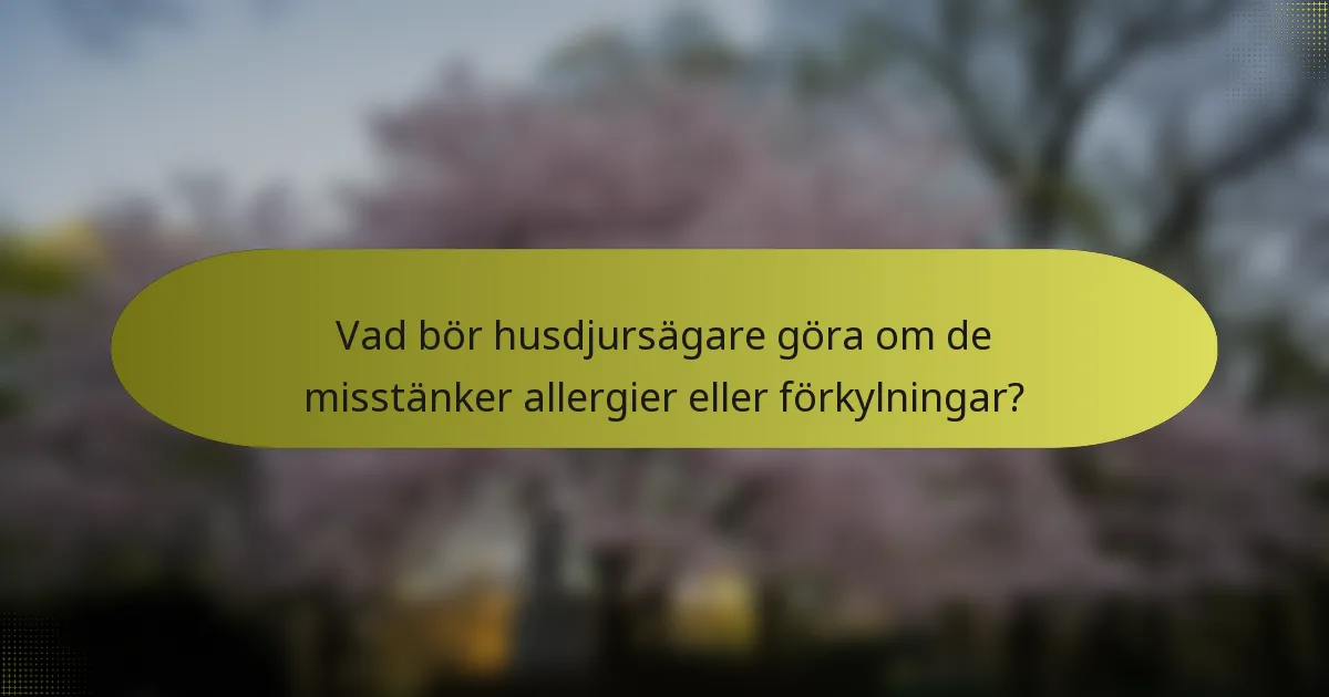 Vad bör husdjursägare göra om de misstänker allergier eller förkylningar?