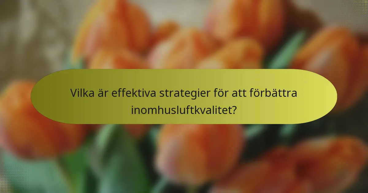Vilka är effektiva strategier för att förbättra inomhusluftkvalitet?