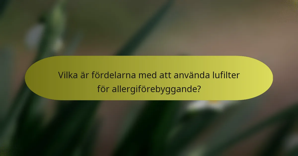 Vilka är fördelarna med att använda lufilter för allergiförebyggande?