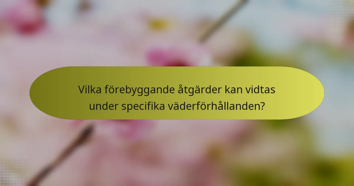 Vilka förebyggande åtgärder kan vidtas under specifika väderförhållanden?